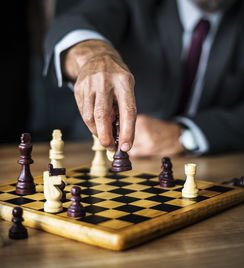 开云体育app安全下载-中国篮球教练员战术执行力提升策略及实施,篮球教练员的执教理念