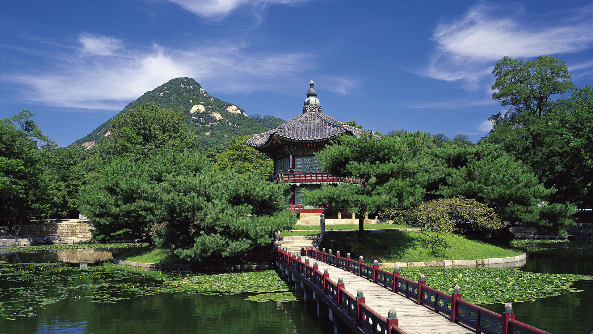 开云体育安全平台-基：全黑队的“后场指挥官”，他为防线和进攻提供了稳定的保障