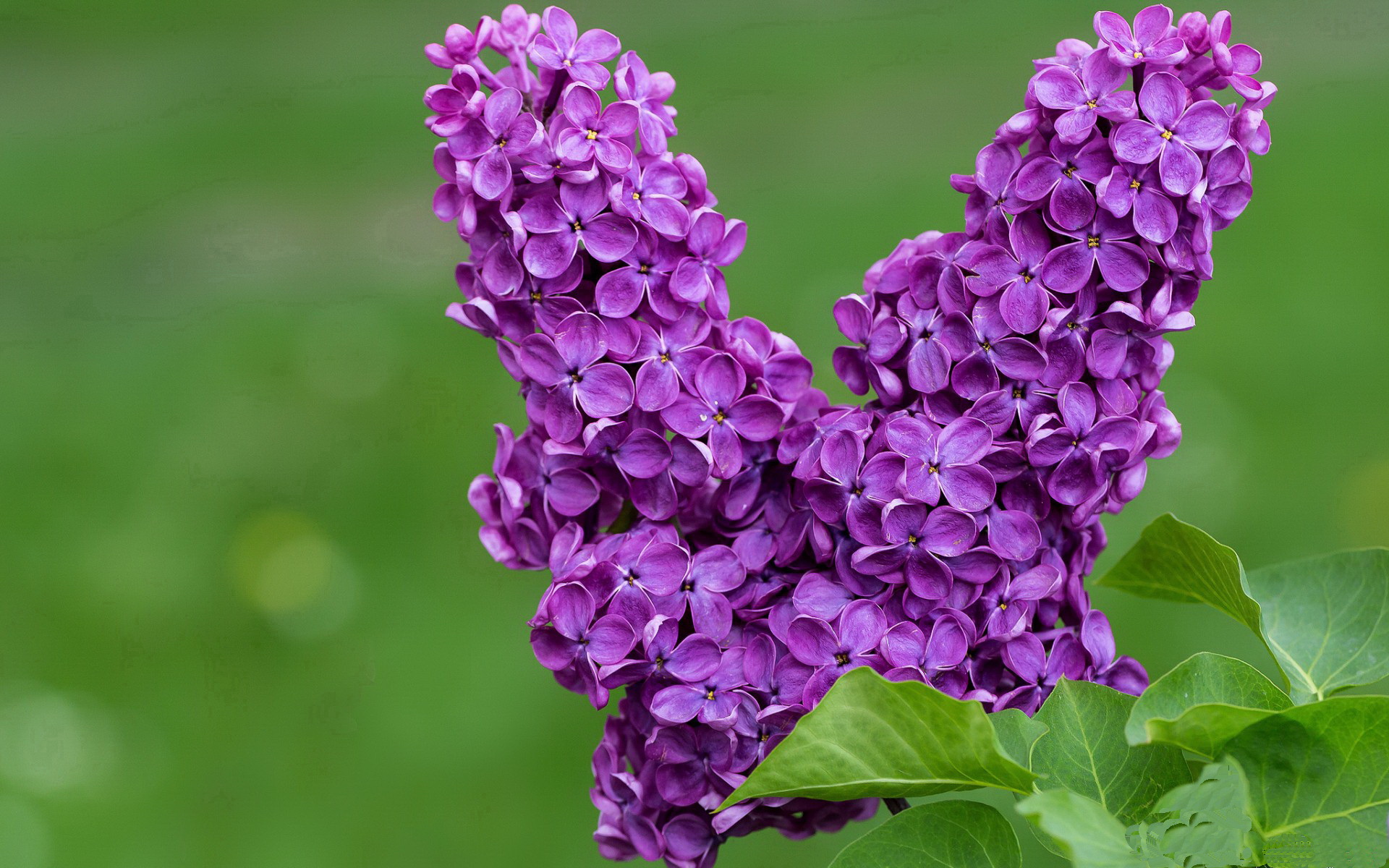 开云体育客户端-德甲策略变革：变化多样，精彩纷呈！，德甲形势分析