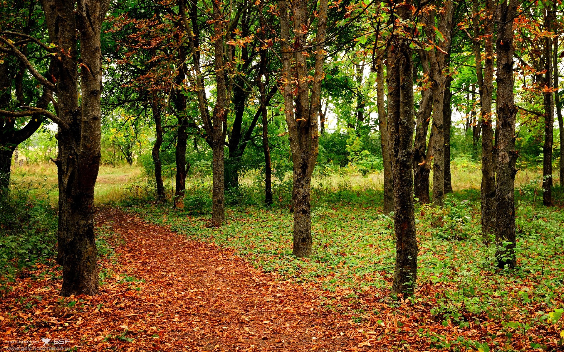 开云体育官方网站-数字化战术分析工具广泛应用，助力青少年球员技术突破，数字化战士
