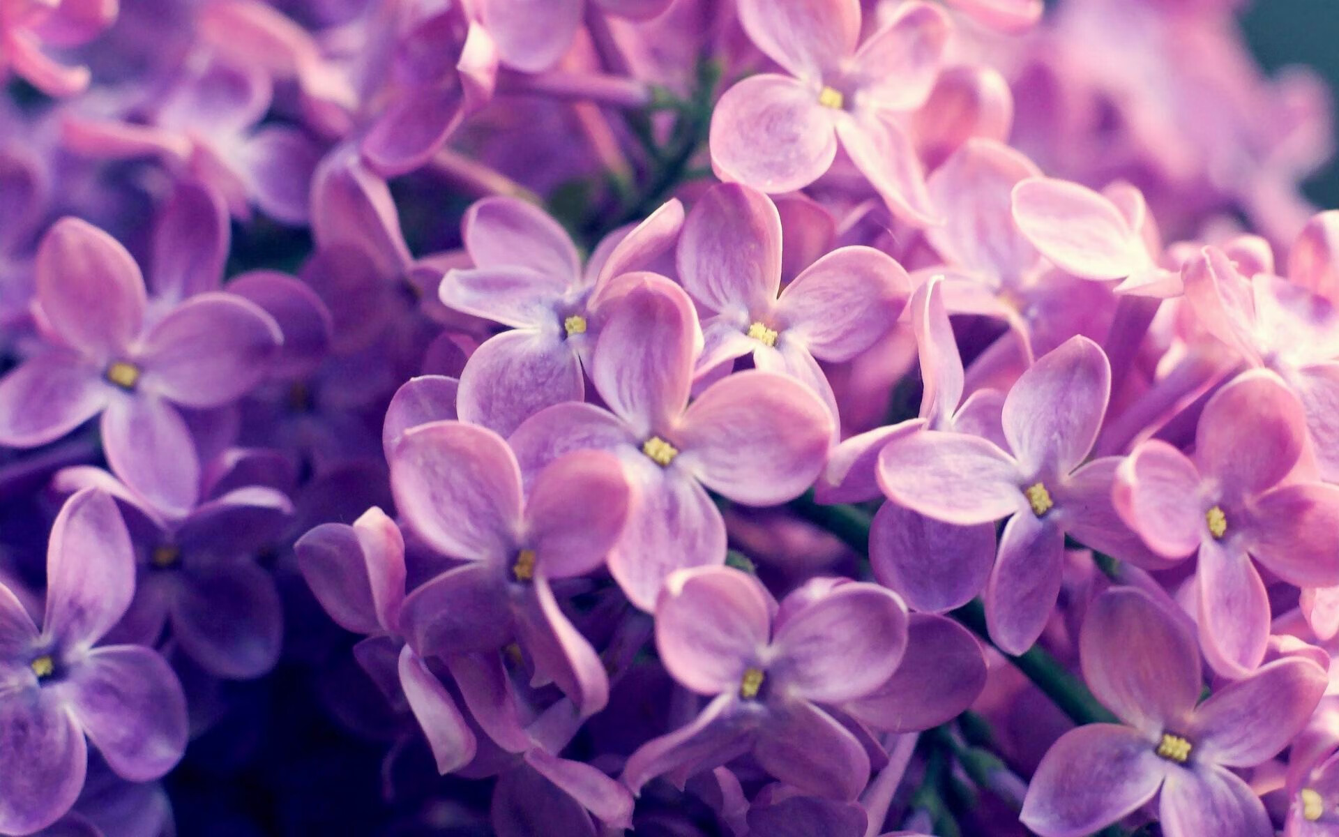 kaiyun sports-极限运动挑战精神探讨，极限运动挑战失败视频