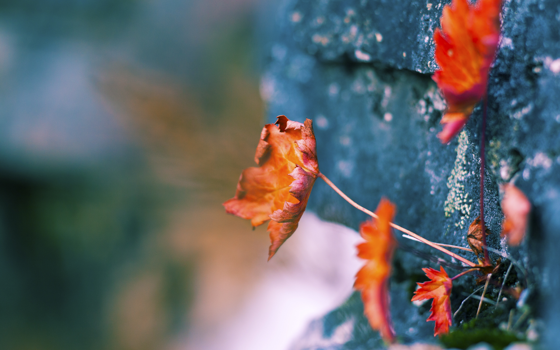 Kysports-球队赛季目标稳中求进主帅强调过程比结果更重要，球队最新赛季