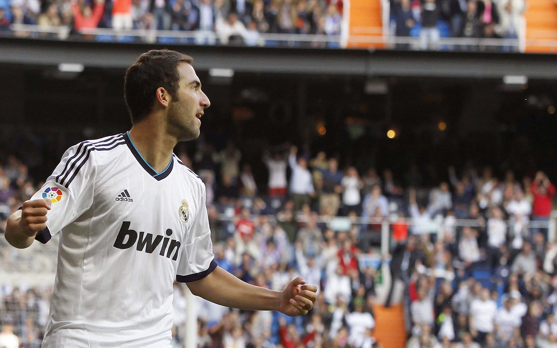 _极地冰雪冰雕运动节：用冰雪点亮冬日_，极地冰雪世界