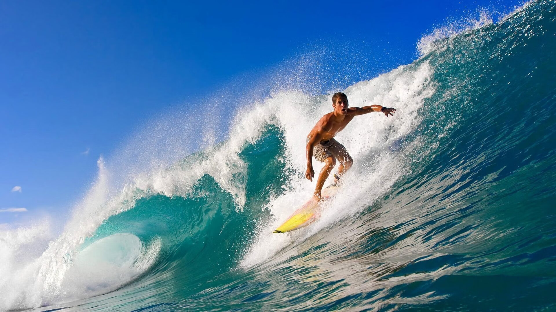 欧冠现场观众：你看到了哪些难忘的精彩瞬间？，欧冠经典回顾