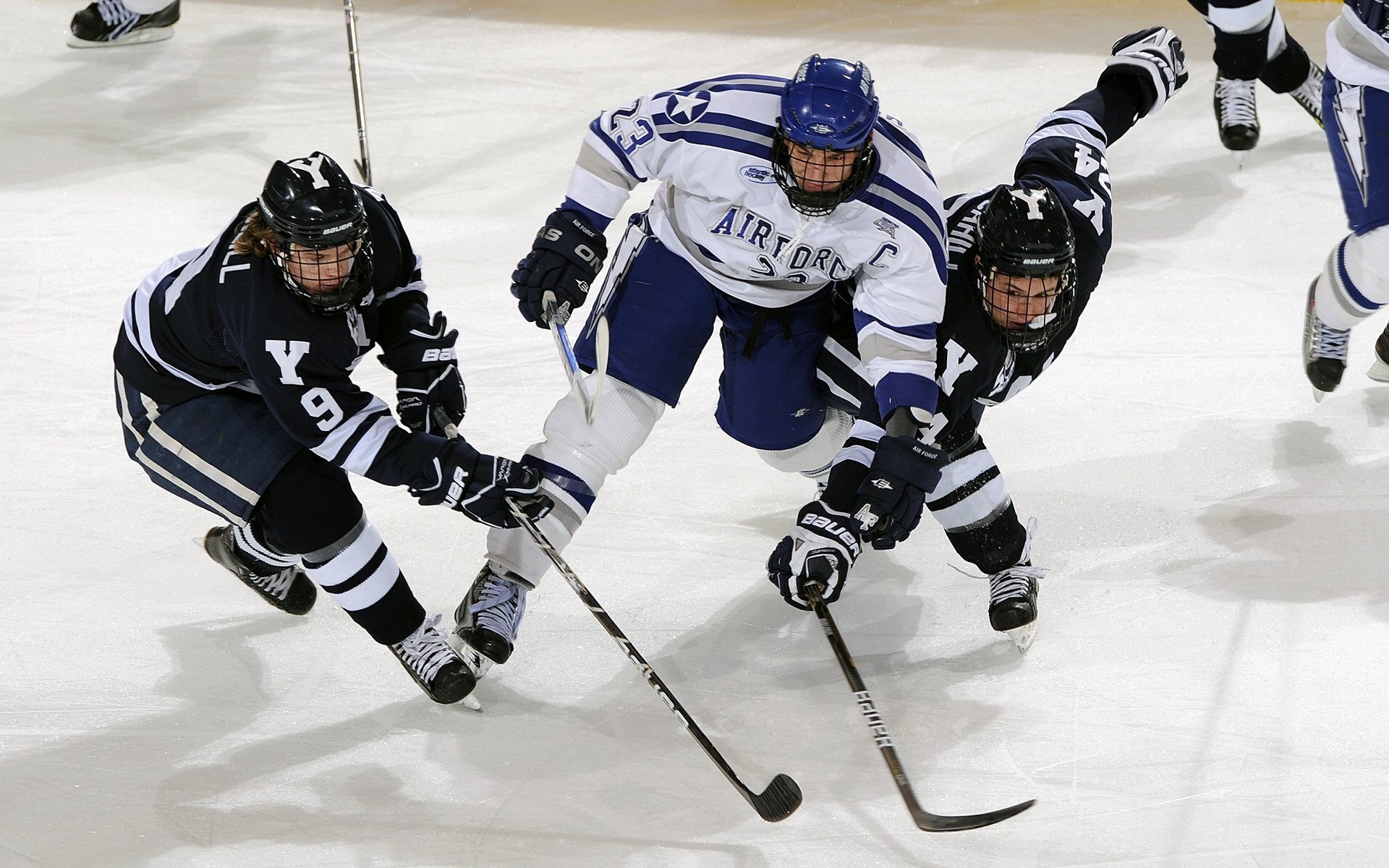 篮球明星效应促进赛事观众数量增长,了解更多篮球明星